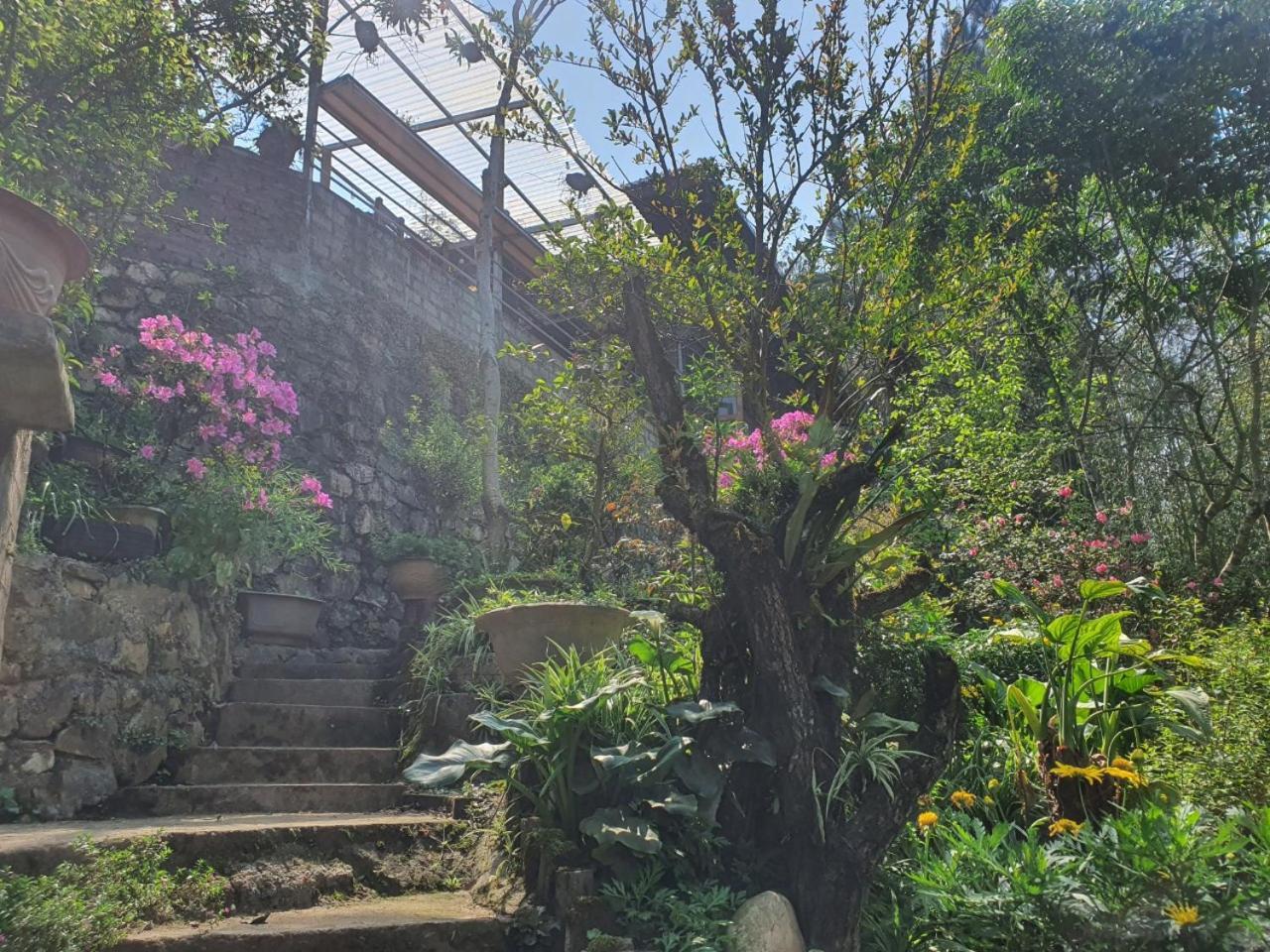 Sapa Garden Bungalow Ngoại thất bức ảnh
