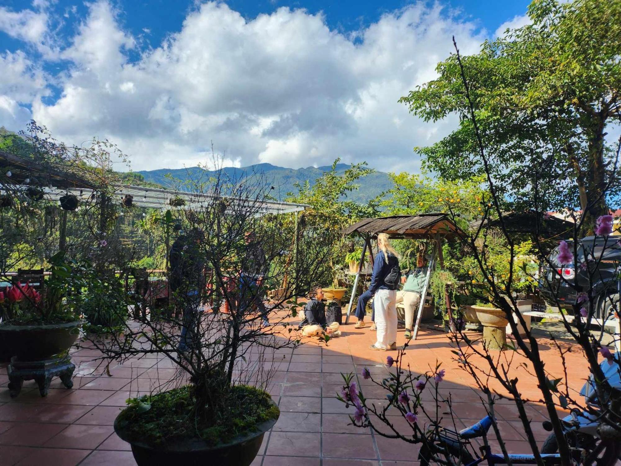 Sapa Garden Bungalow Ngoại thất bức ảnh
