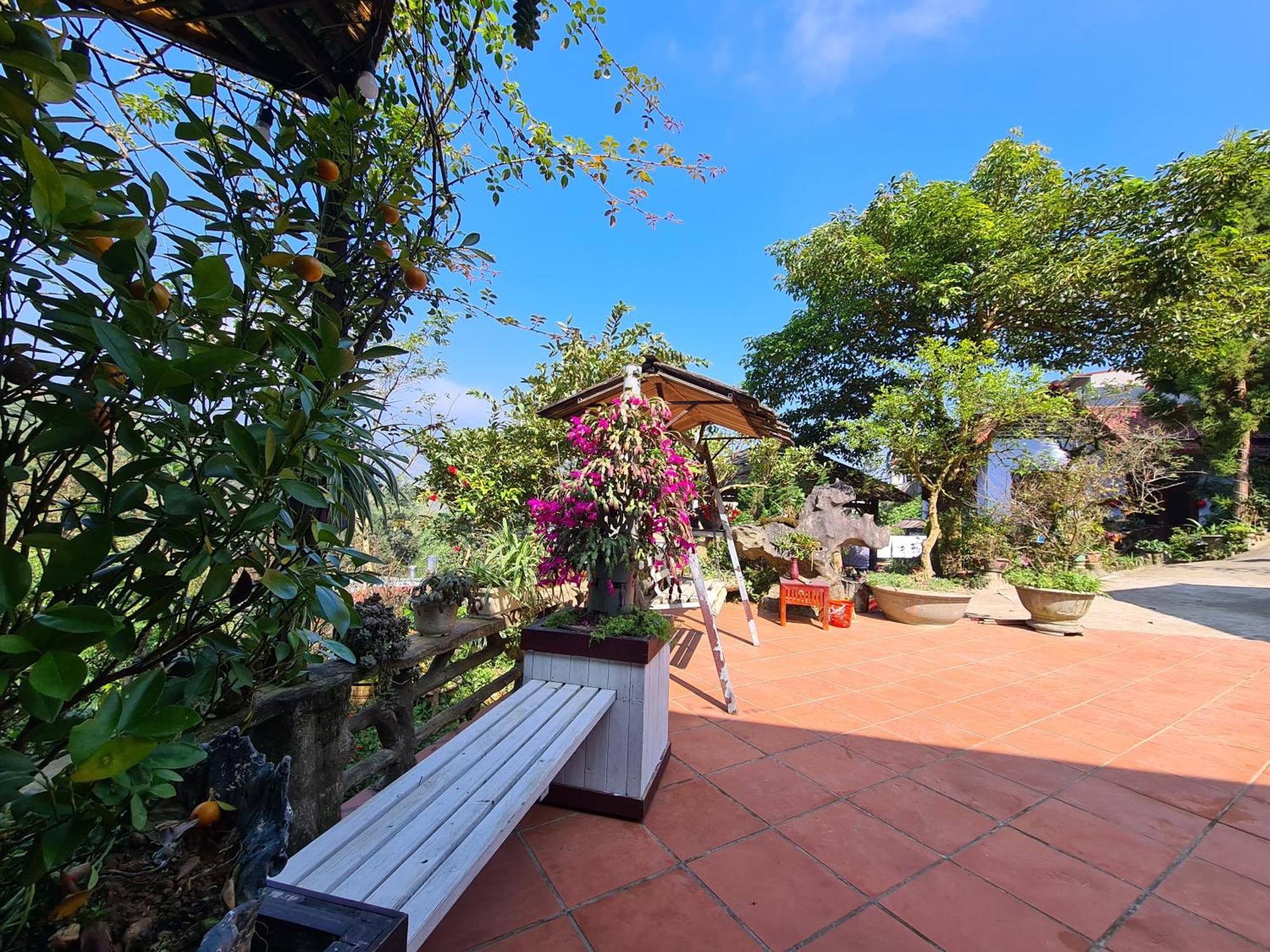 Sapa Garden Bungalow Ngoại thất bức ảnh