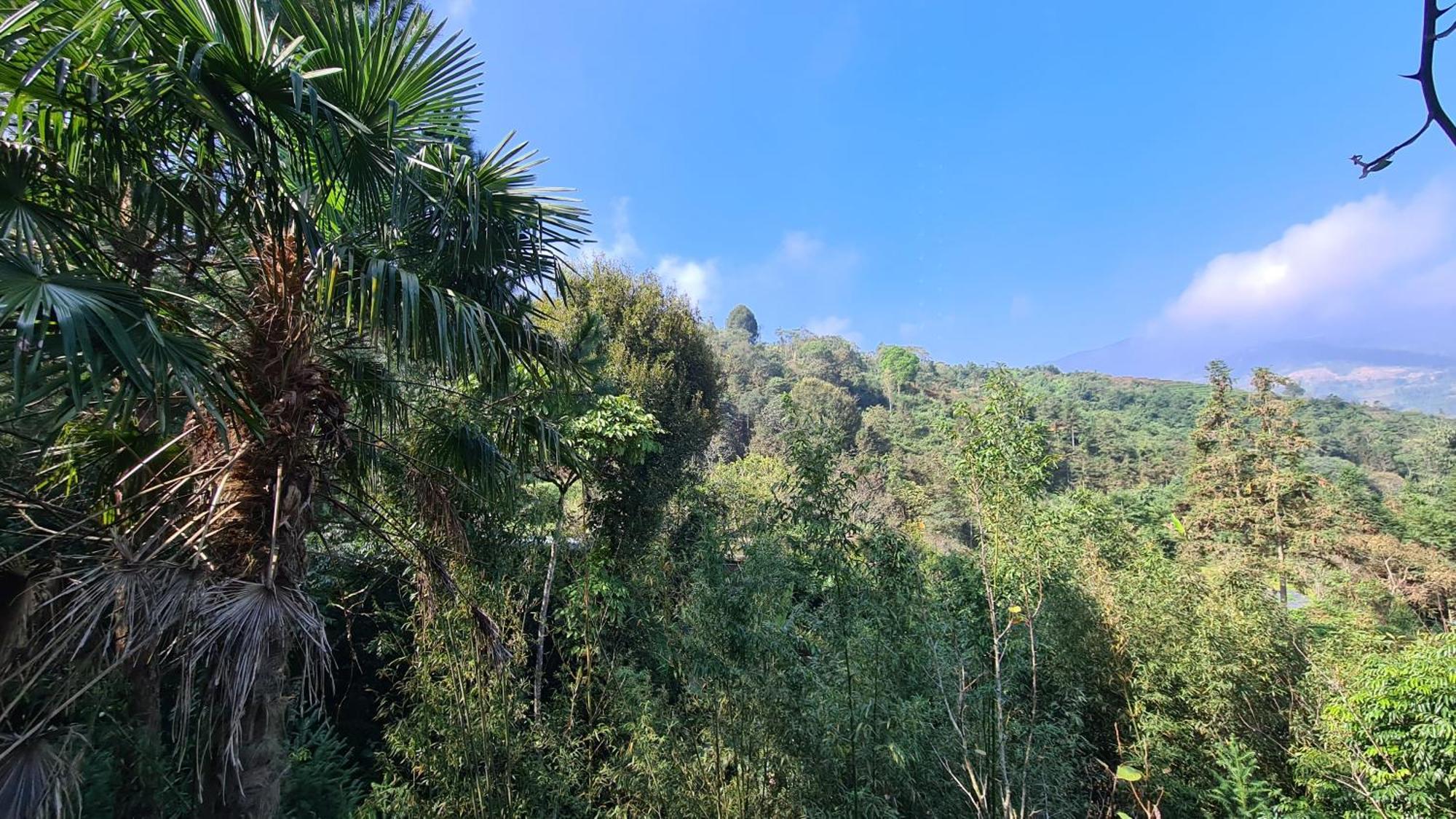 Sapa Garden Bungalow Ngoại thất bức ảnh